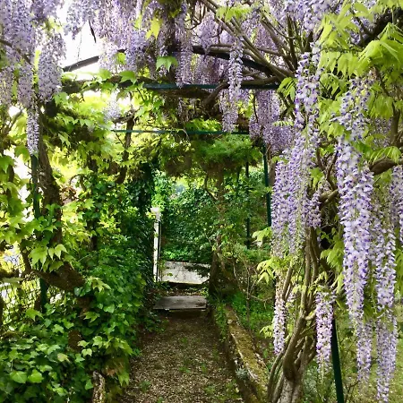 Medicis Bed & Breakfast Brantome